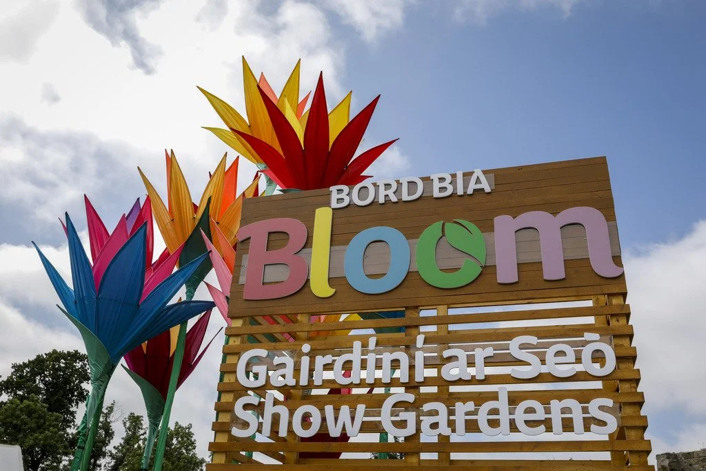 bloom dcci village