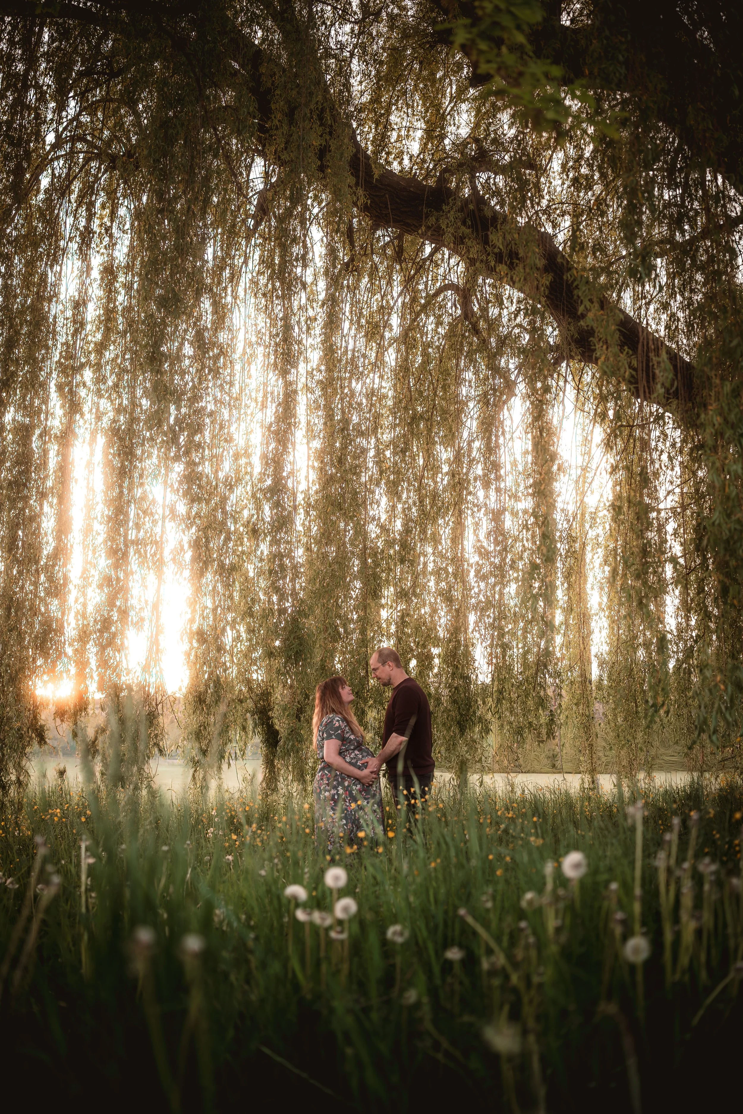 Ein Paar steht sich gegenüber unter einem großen Baum im Sonnenuntergang, im Vordergrund Wiesen mit Blumen, im Hintergrund ein Fluss.