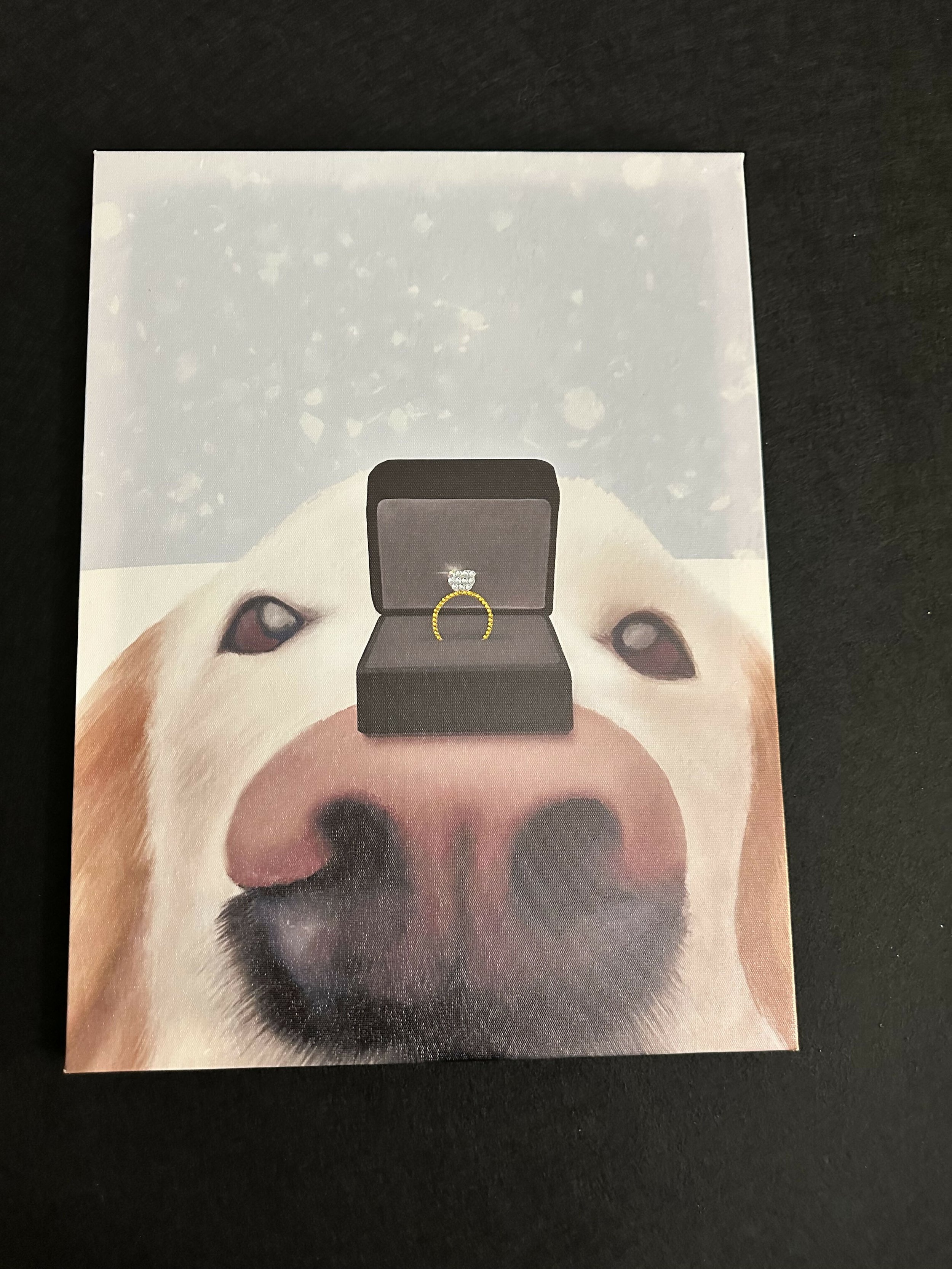 Proposal Pup