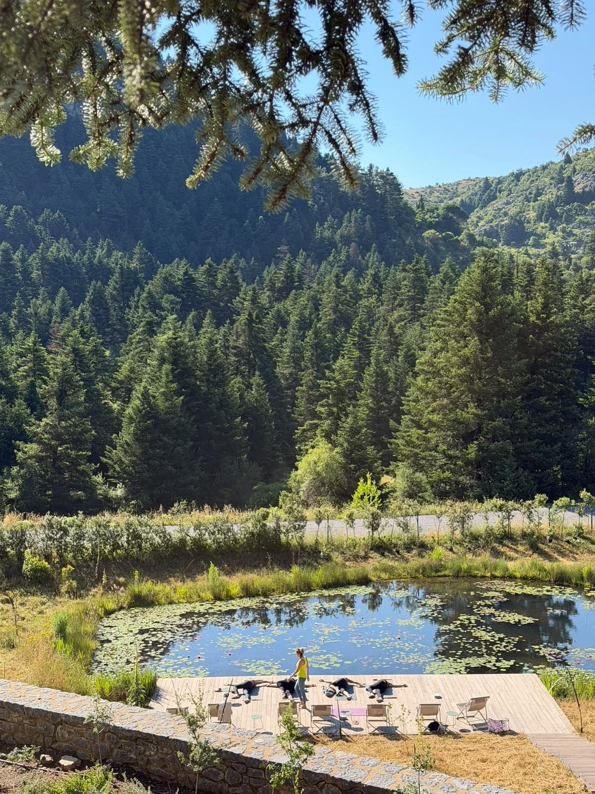 Golden Forest Retreat Yoga &amp; Mindfulness