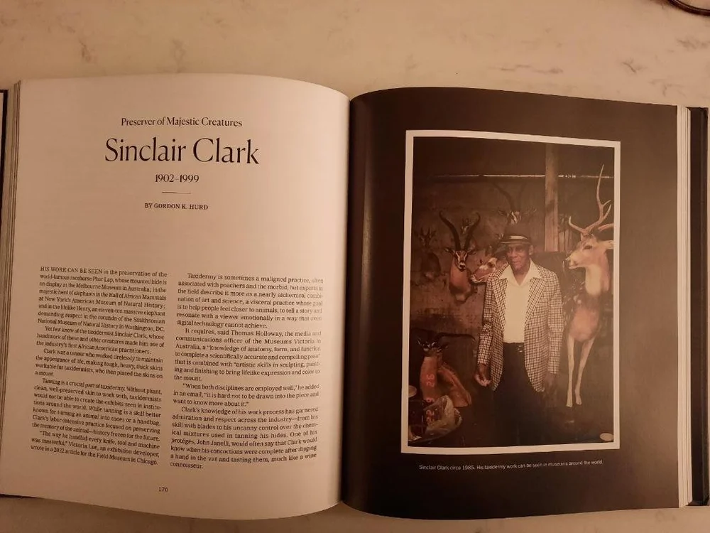 Sinclair Clark - Overlooked Book.JPG