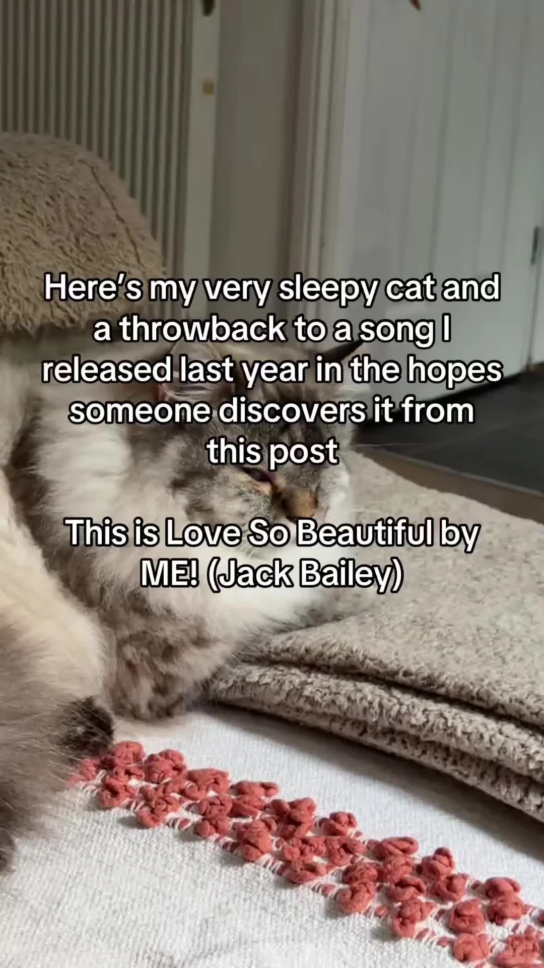 Kitty asks you to listen to Love so Beautiful so I can afford to buy her new toys! Stream the Open Heart Surgery EP on all your favorite platforms! 🖤 #music #love #lovesong #cat #kitten #kitty #meow #cute #ohs #open #heart #openheartsurgery #surgery