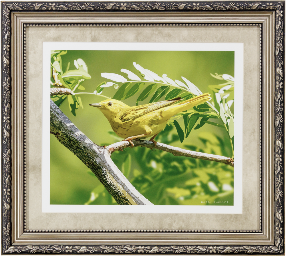 Yellow Warbler-Gold Scroll 19x17