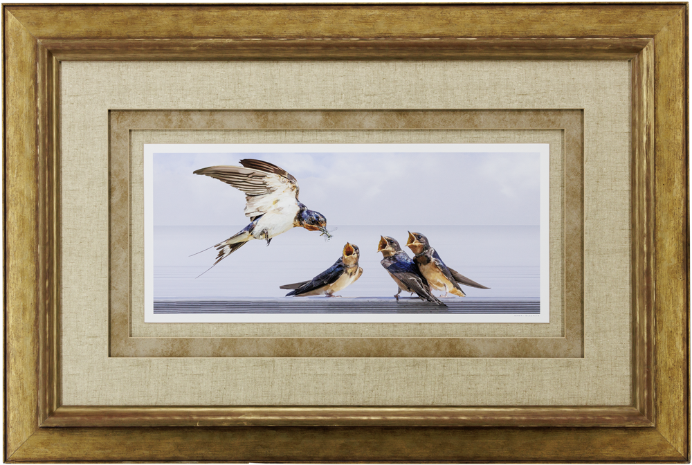 Barn Swallows-Gold Wooden Stacked Matte 43x29