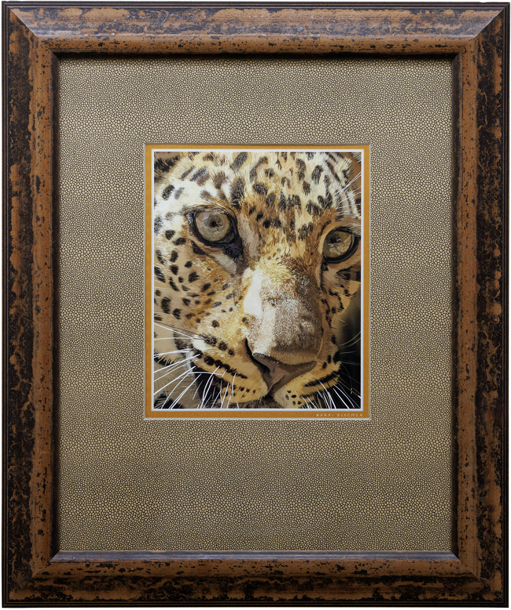 Leopard-Animal Print Matte 20x24