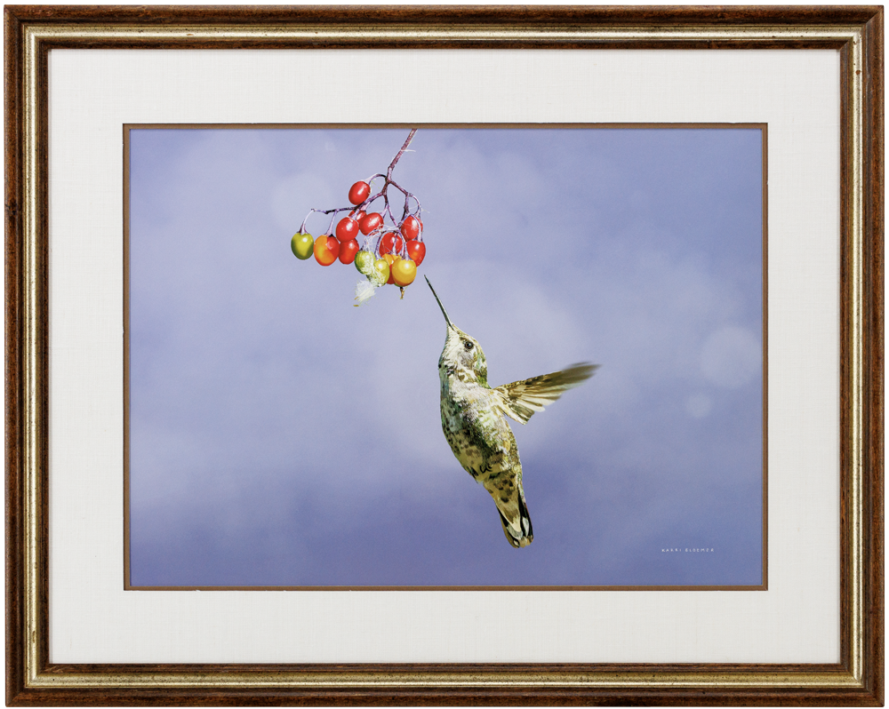 Annas Hummingbird w berries_BrownGold_30x24_Frame_Web.png