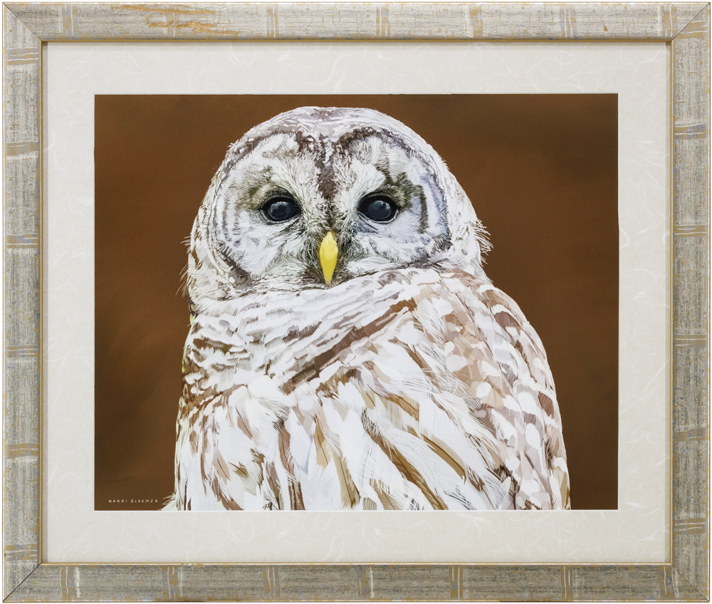 Barred Owl B_RoughWood_26x22_Frame_Web.png