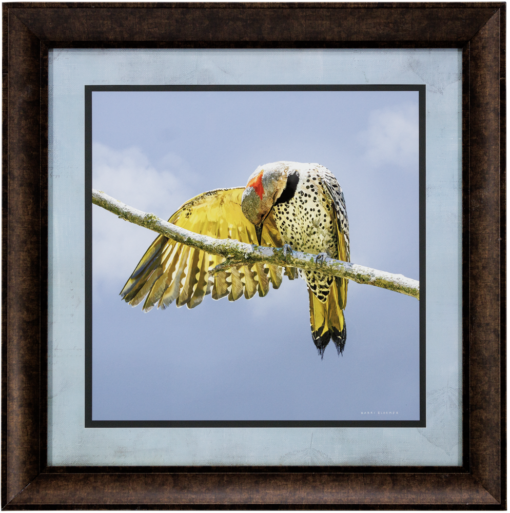 Flicker and Wing_BrownTextured_23x23_Frame_Web.png