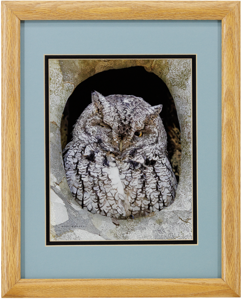 ScreechOwl_B_Wood_12x16_Frame_Web.png