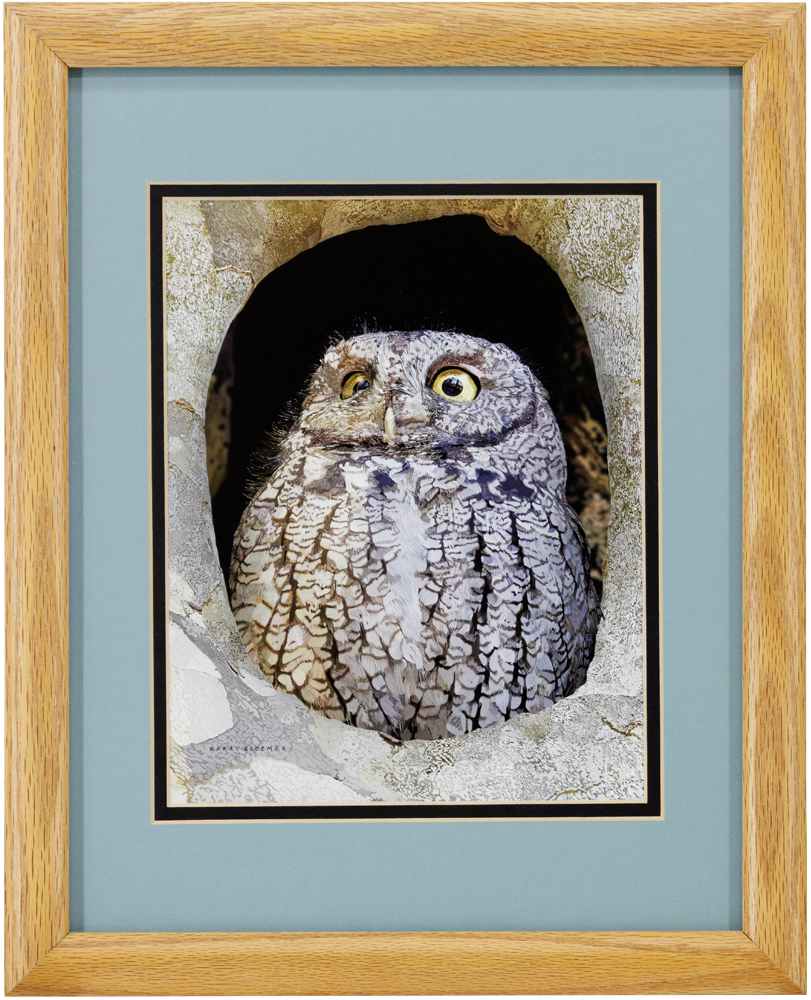ScreechOwl_C_Wood_12x16_Frame_Web..png