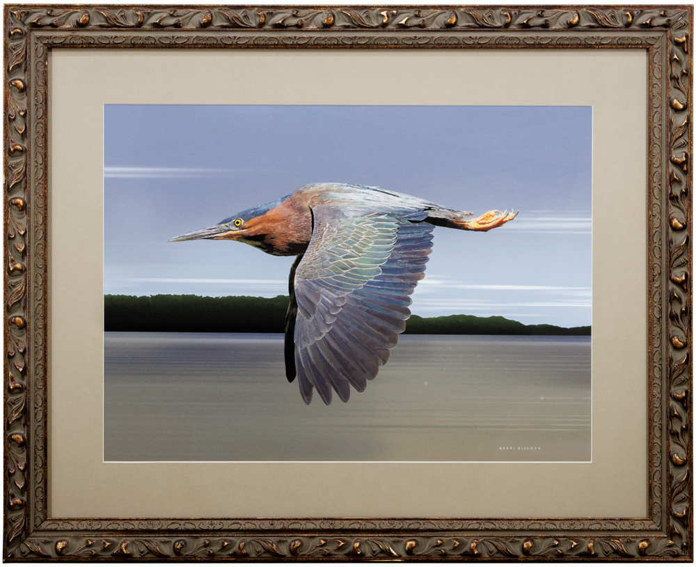 Green Heron in Flight Brown Scroll 32x26