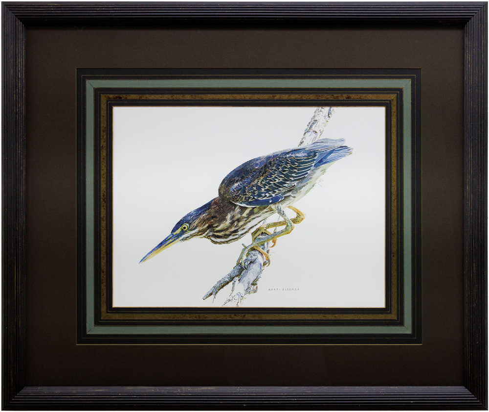 Green Heron-Dark Ribbed 29x24