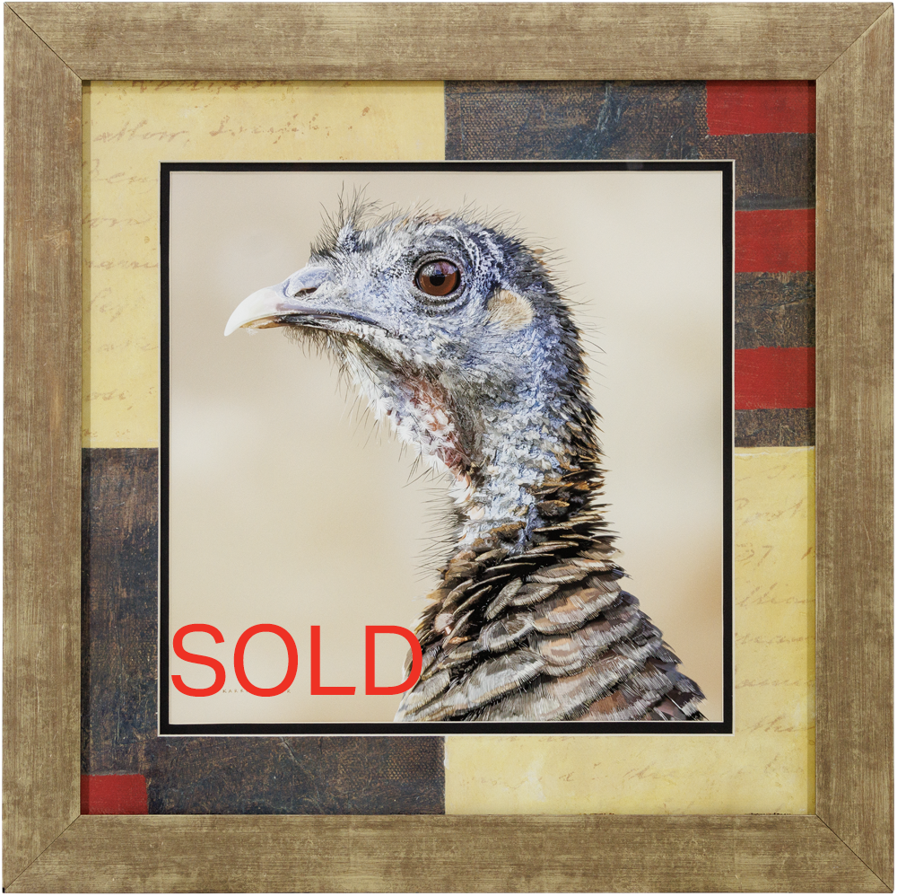 Wild Turkey Light Wood 24x24 SOLD