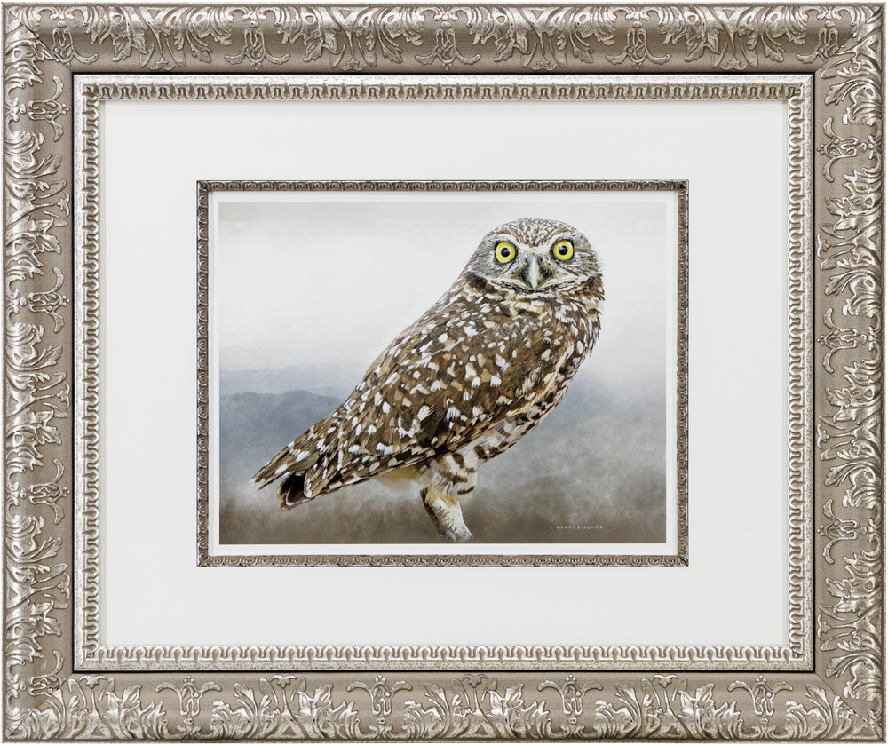 BurrowingOwl_GoldScroll_25x21_Frame_Web.png