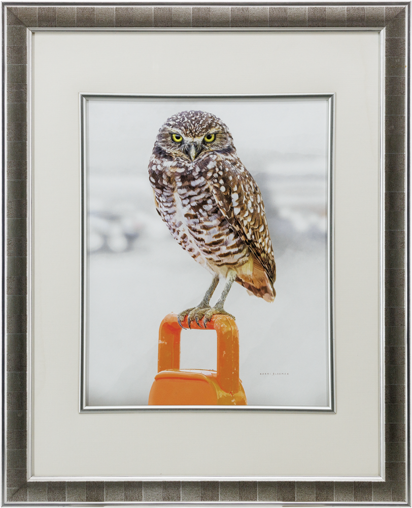 Burrowing Owl Cone-Silver Squares 25x31