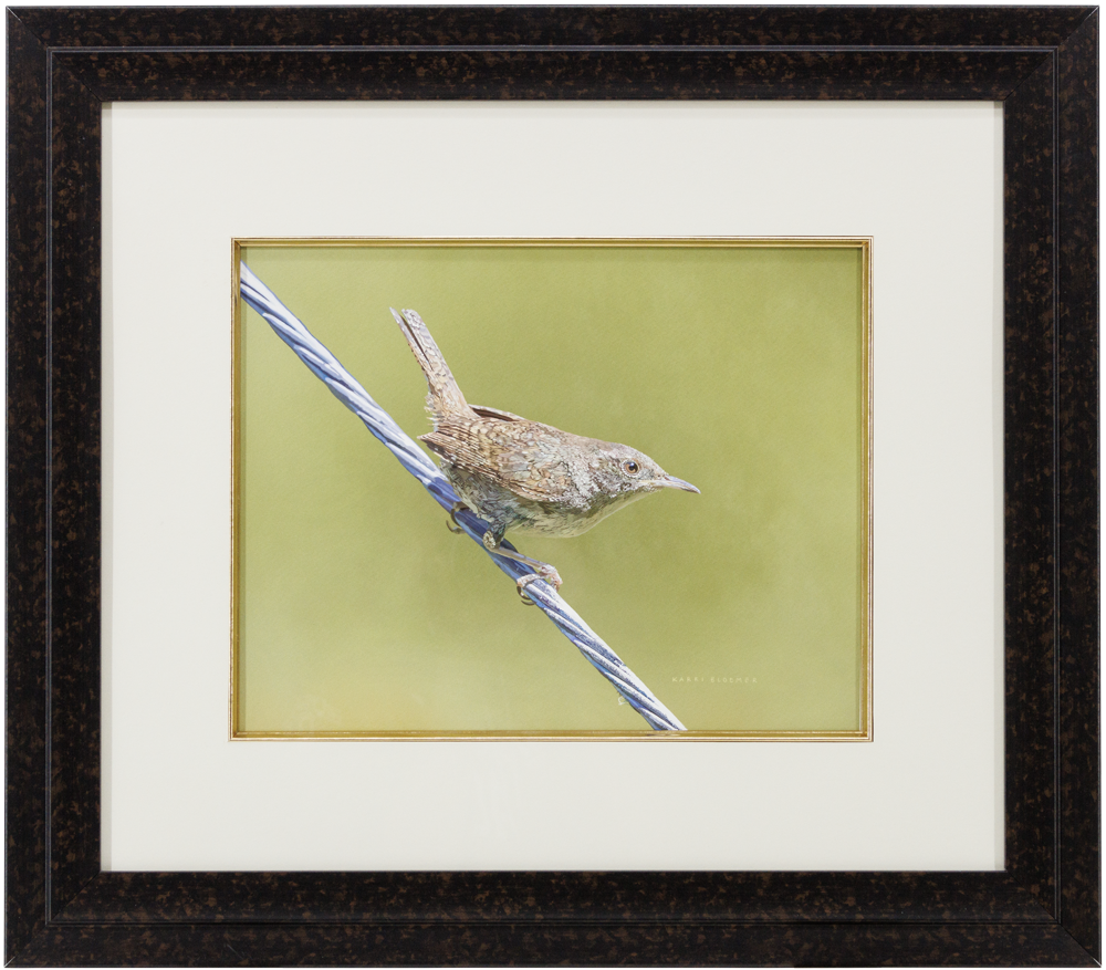 House Wren-Brown Tortoiseshell 23x20
