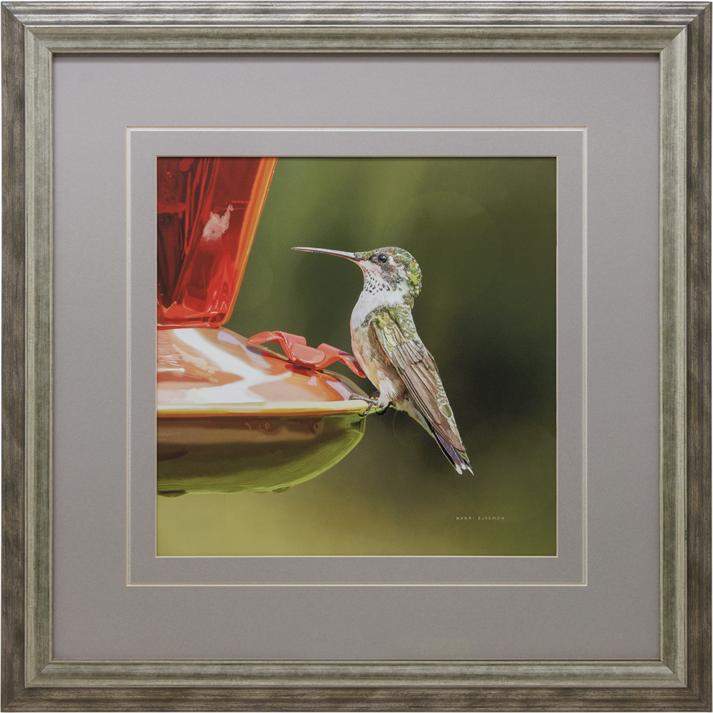 Hummingbird-Grey 27x27