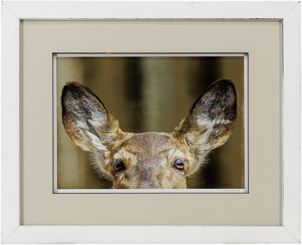 White Tailed Deer Eyes-White Wood 22x18