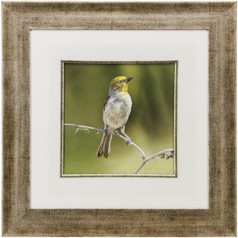 Verdin-Brown Speckled 24x24