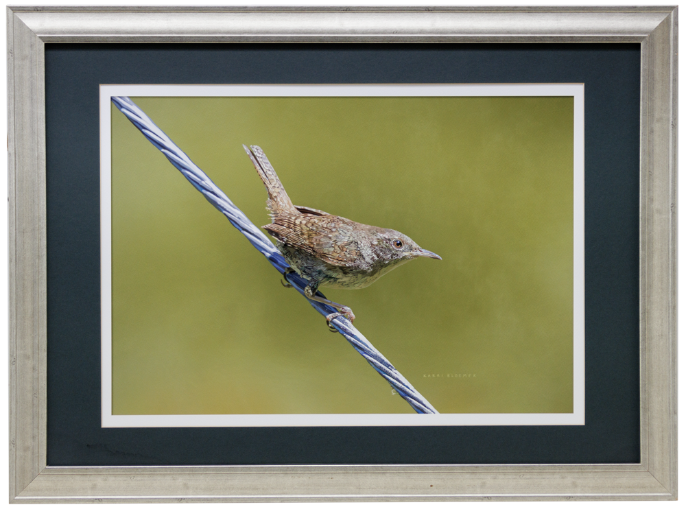 Wren On Wire-Silver Wood 31x23