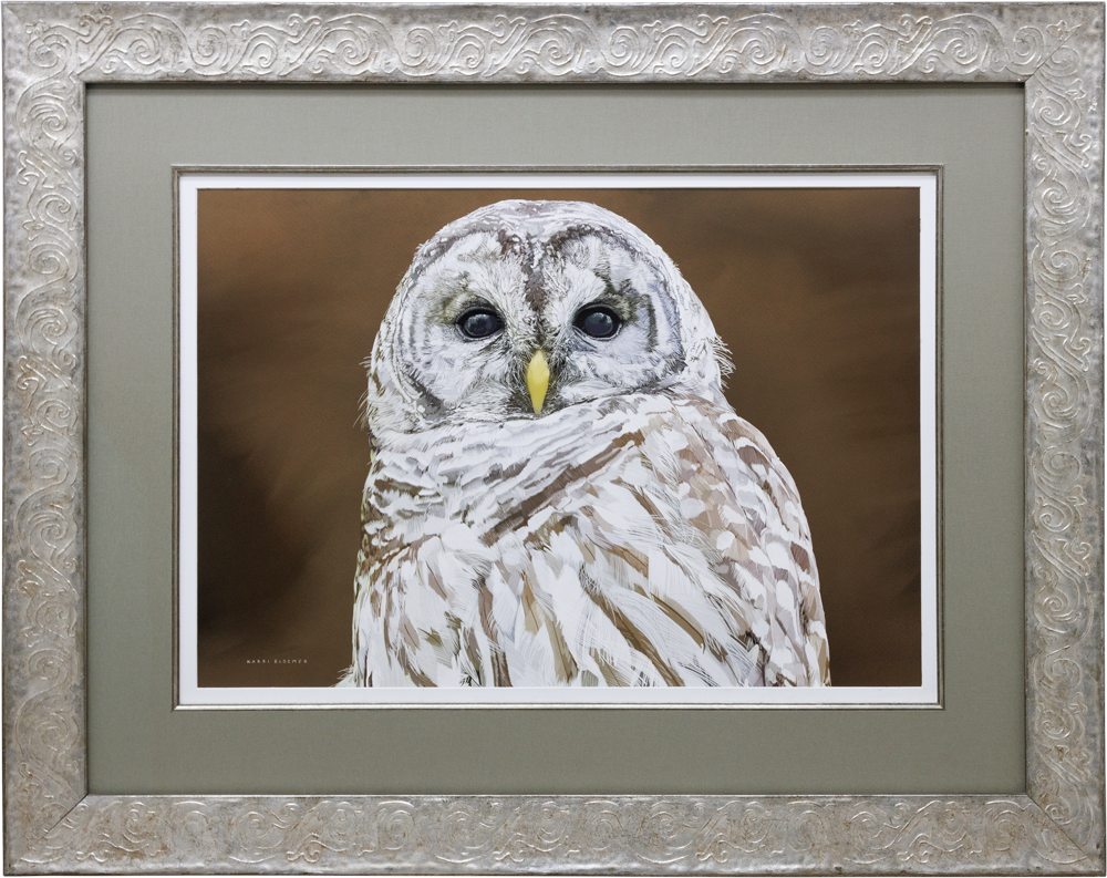 Barred Owl- Silver 34x27