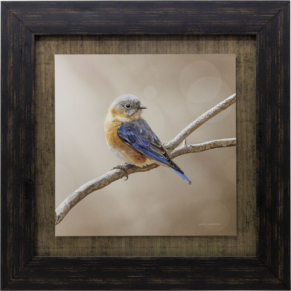 Bluebird Left-Brown Frame 25x25