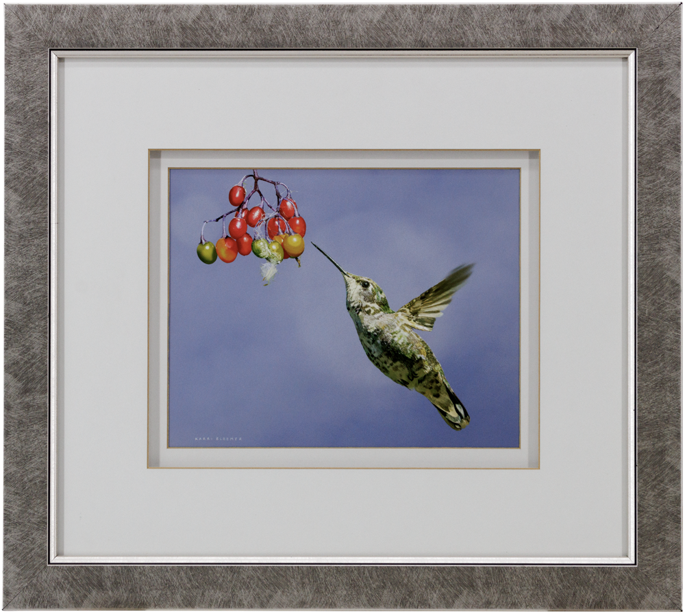 Anna's Hummingbird w Berries-Brushed_18x17