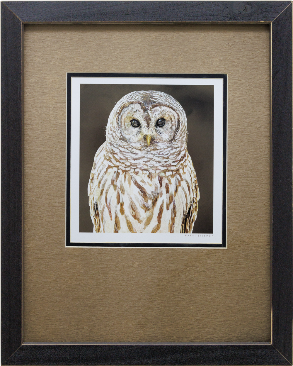 Barred Owl 3/4-Black Texture Matte 15x19