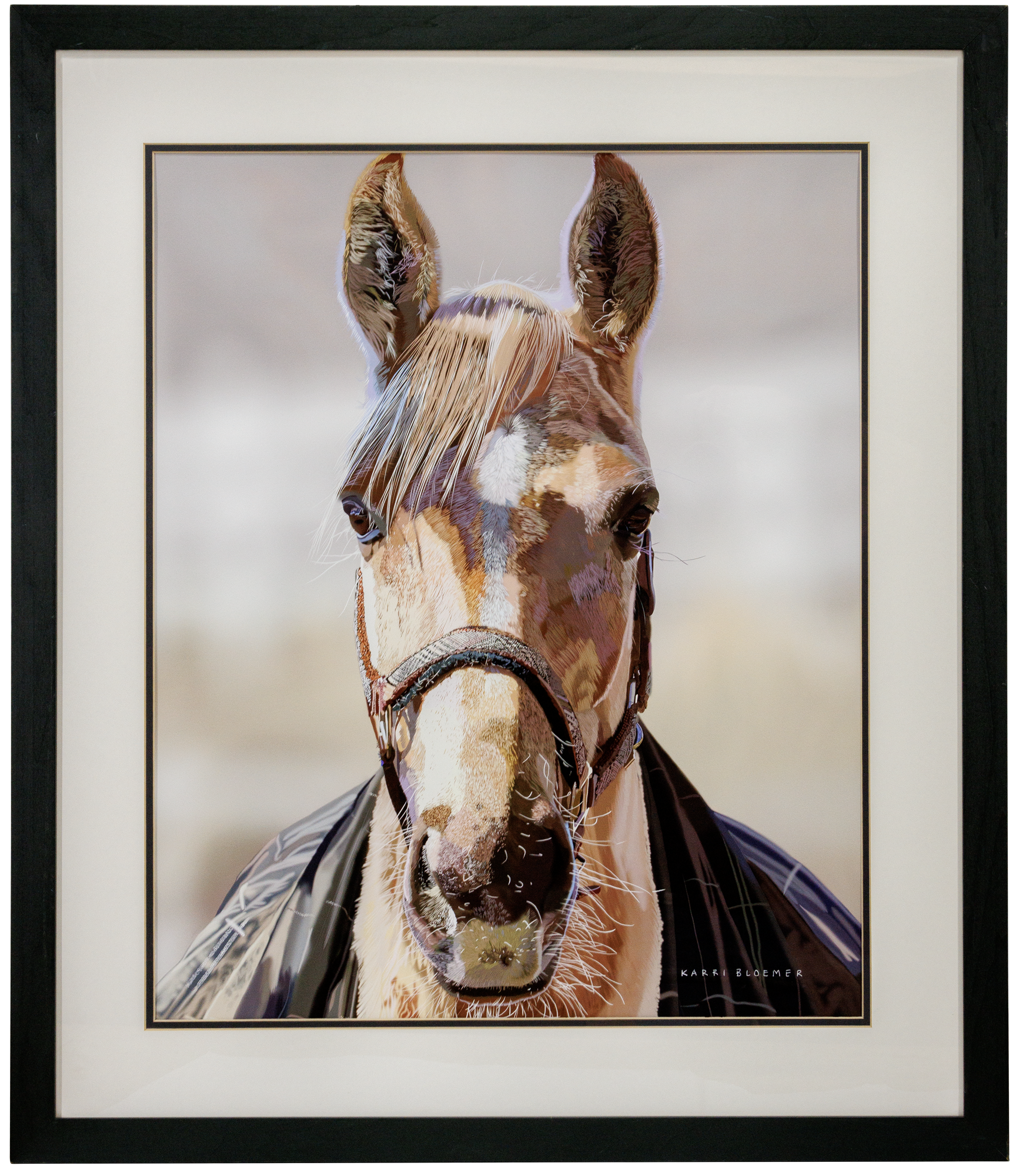 HorseOnBlack_JR7_5275.png