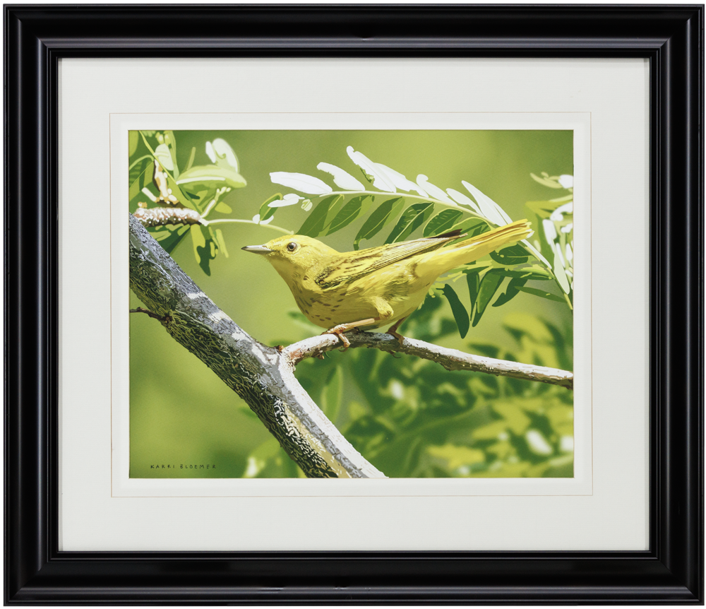 Yellow Warbler-Black 22x19