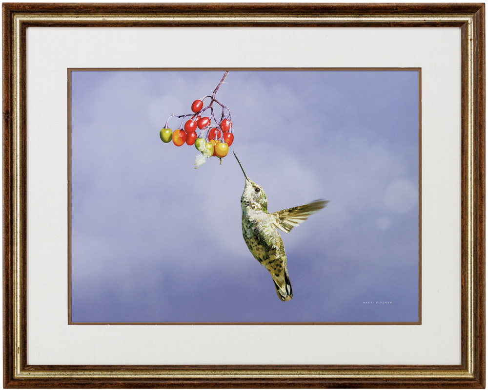 Annas Hummingbird w Berries-Brown Gold 30x24