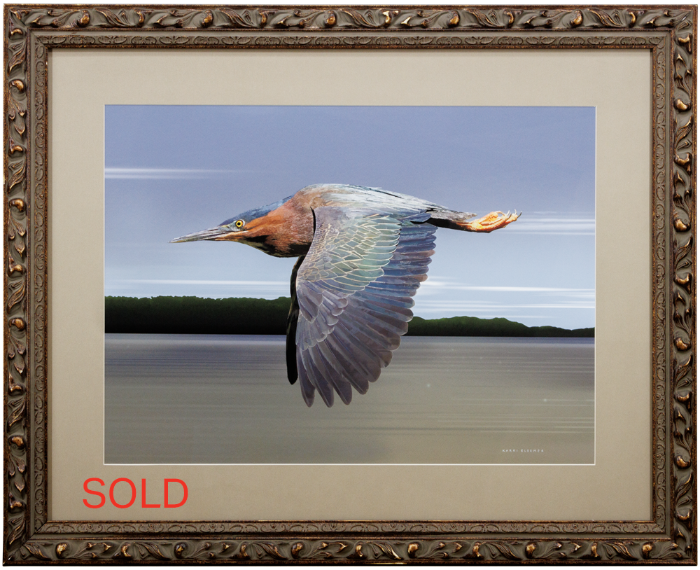 Green Heron Flying Brown Scrolled 32x26_SOLD