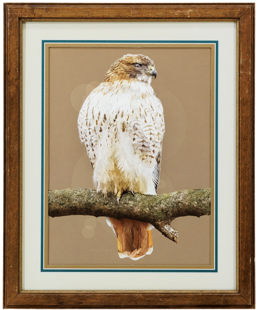 Red Tailed Hawk-Brown Wood 18x22