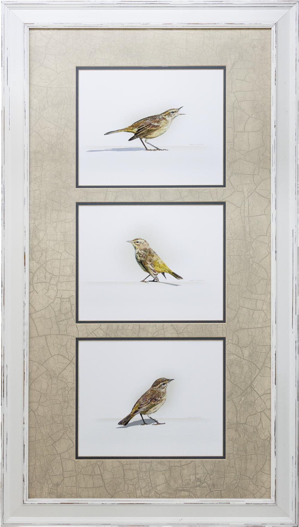 Palm Warbler Trio-White Vertical 30x38