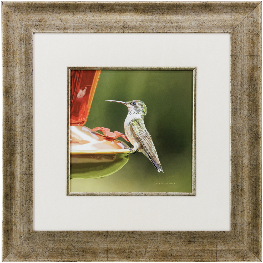 Ruby Throated Hummingbird-Brown Speckled 24x24