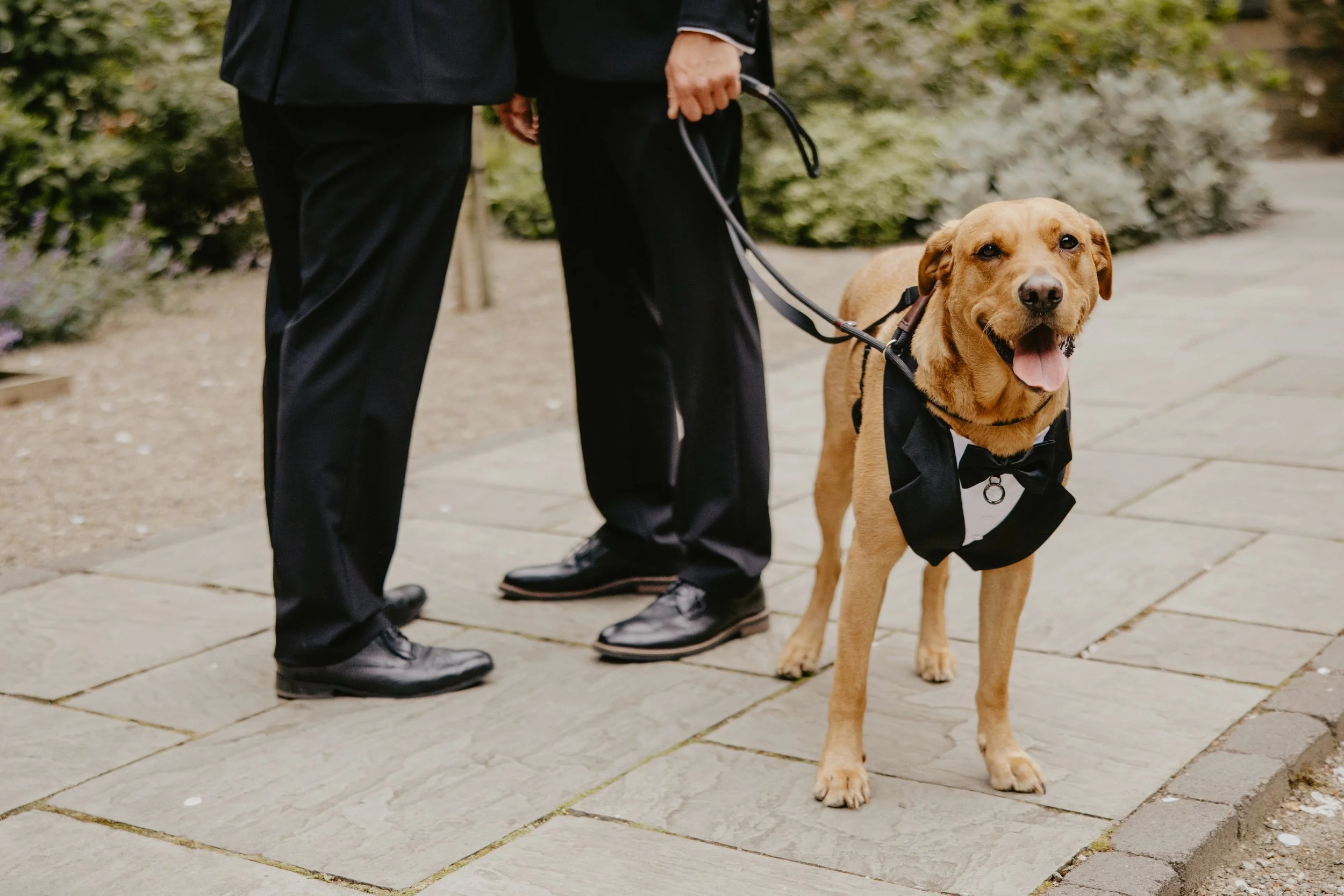 G&G (180 of 549).jpg