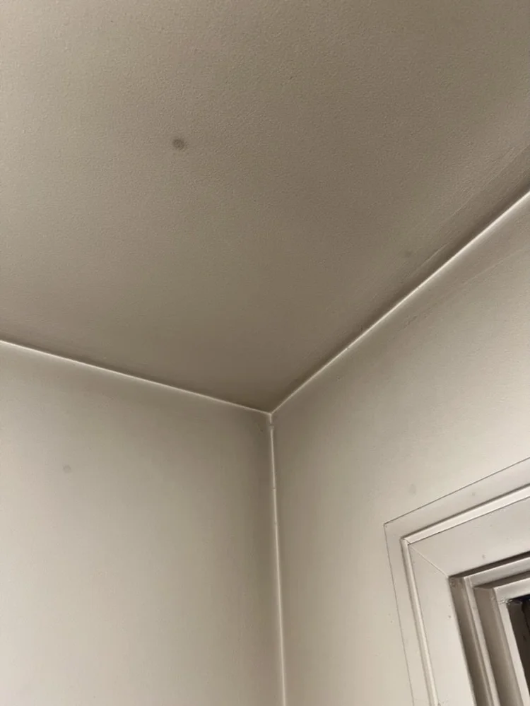 Damage 15