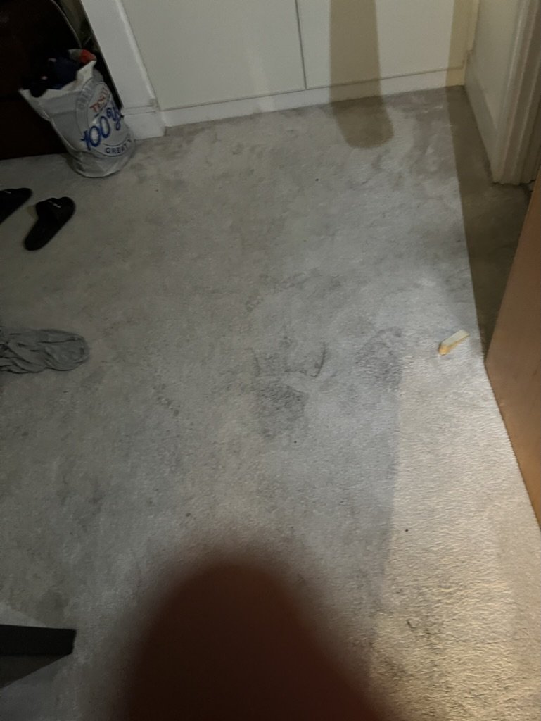 2AC5DAE9-6043-4CF5-9F64-A2D84A771120_1_105_c.jpeg