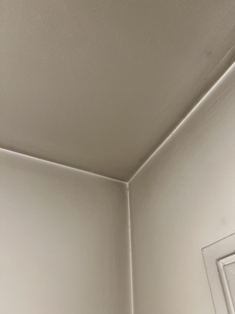 FF360206-0841-4E32-98A4-D980D4B560C2_1_105_c.jpeg