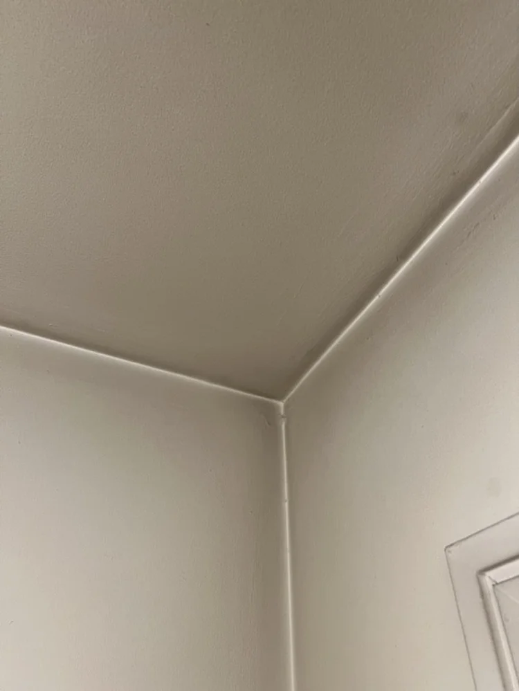 Damage 16