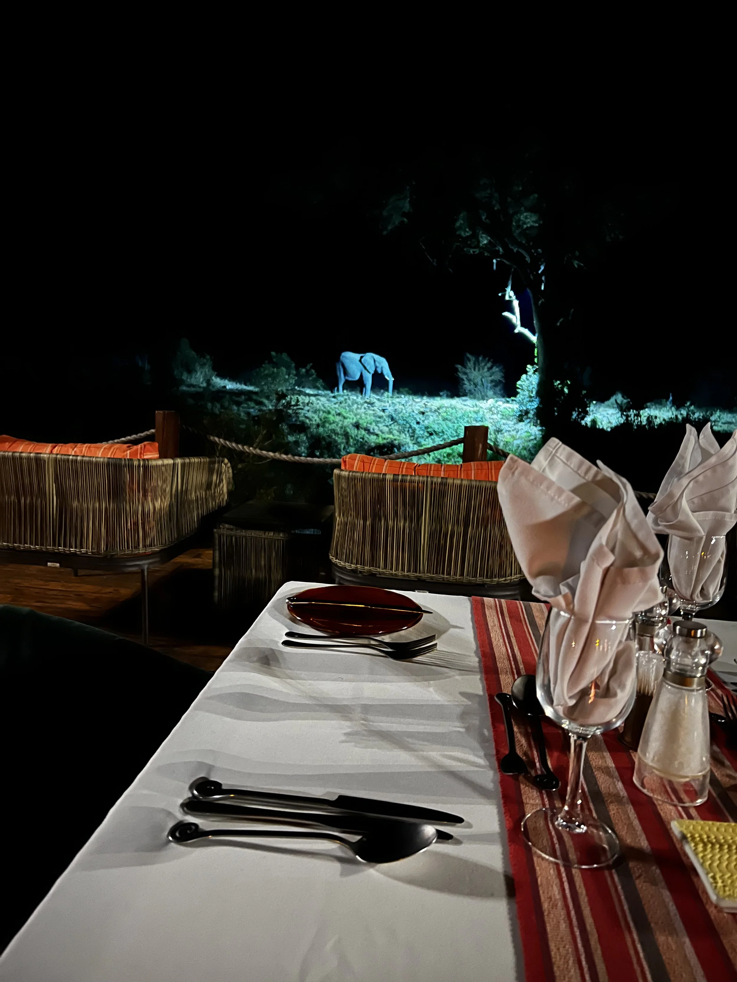 VYI_Elephant_NightShot_Dining.jpg