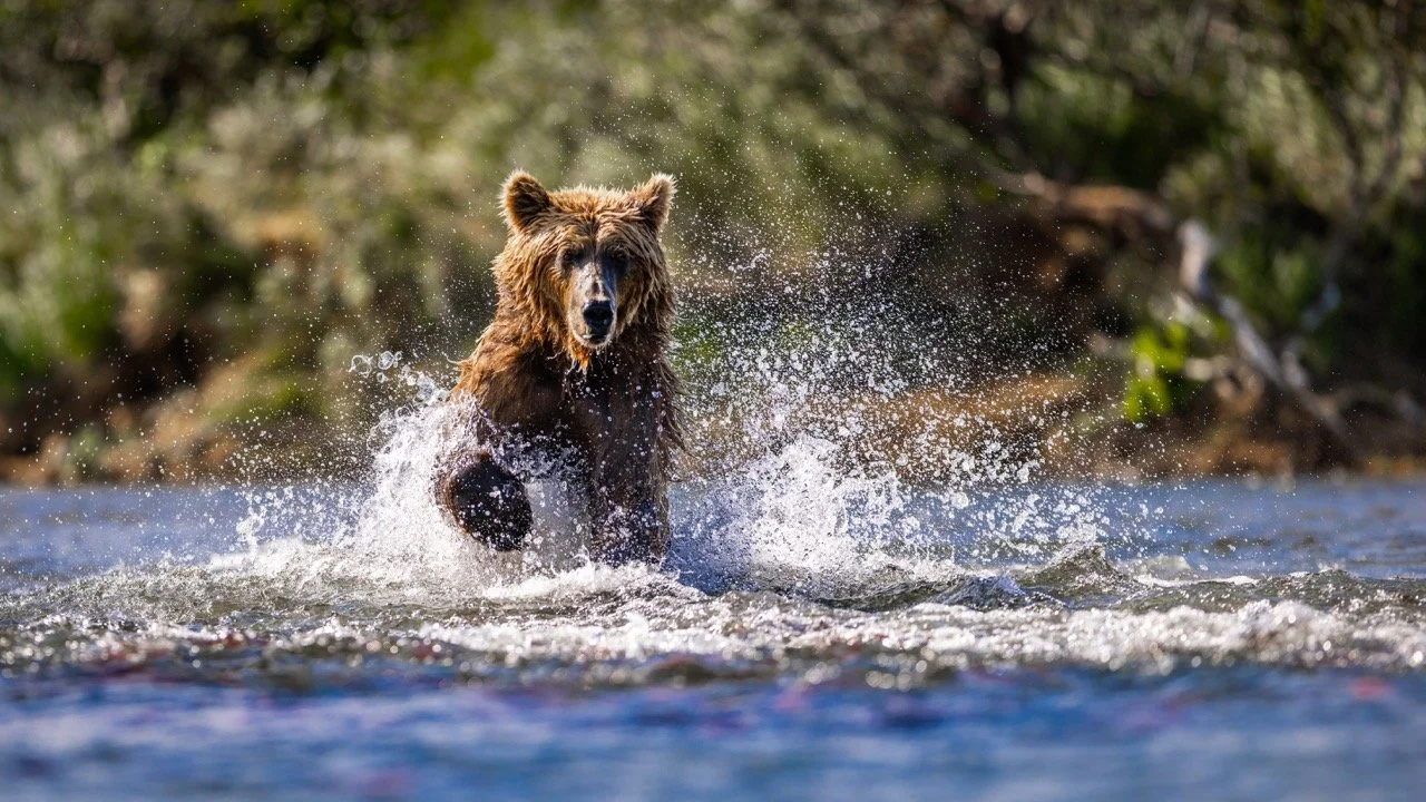 _P1A6395p Large.jpeg