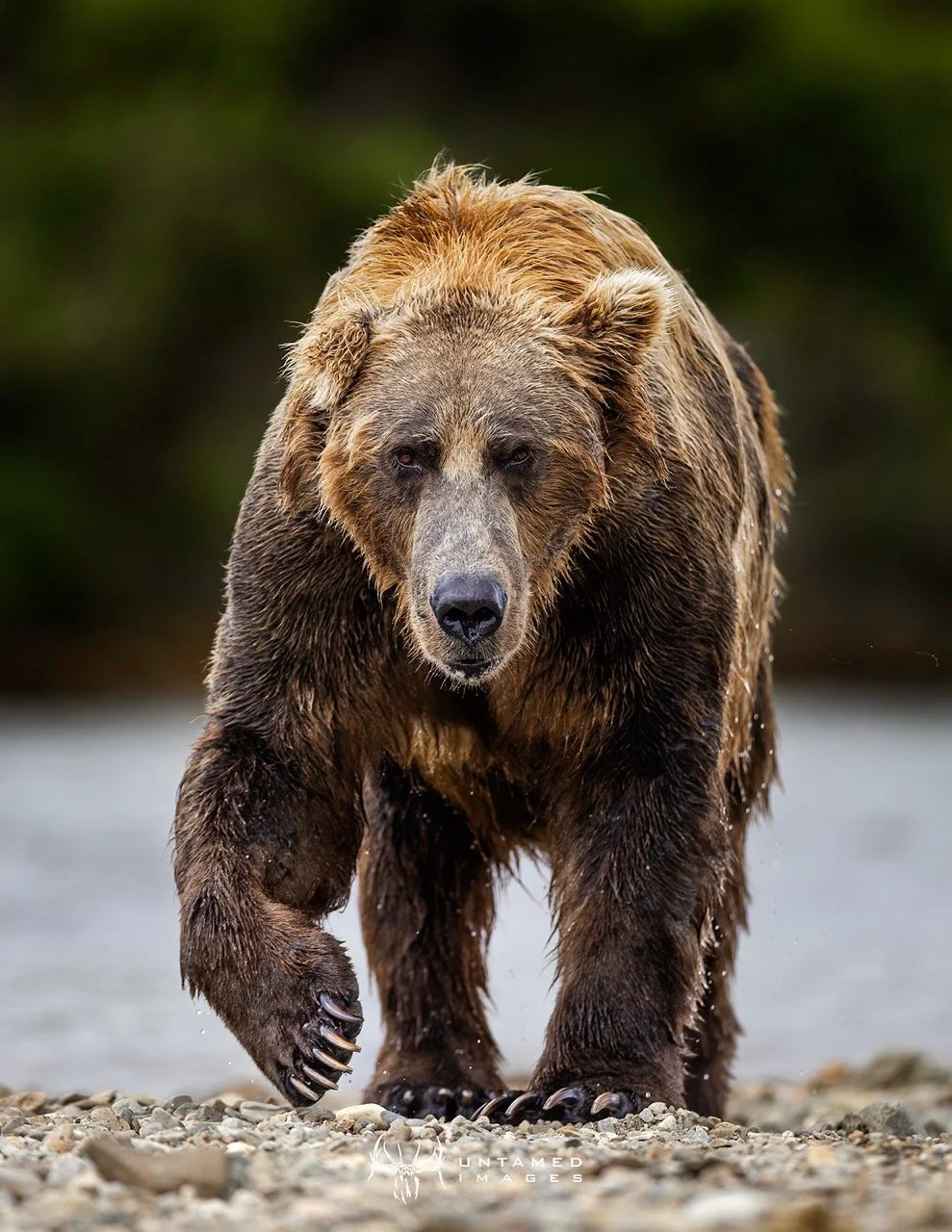 _P1A9985pc Large.jpeg