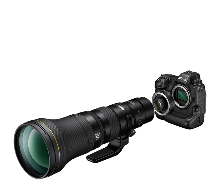Other-2-20108_0004_Z-utSgPpuN-large.png