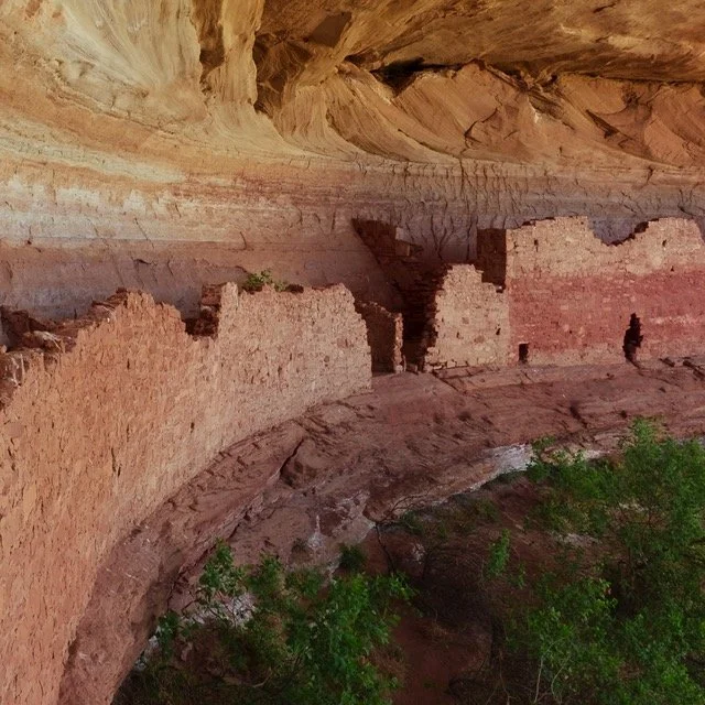 ASW-BEARS EARS-_1.1.129 Medium.jpeg