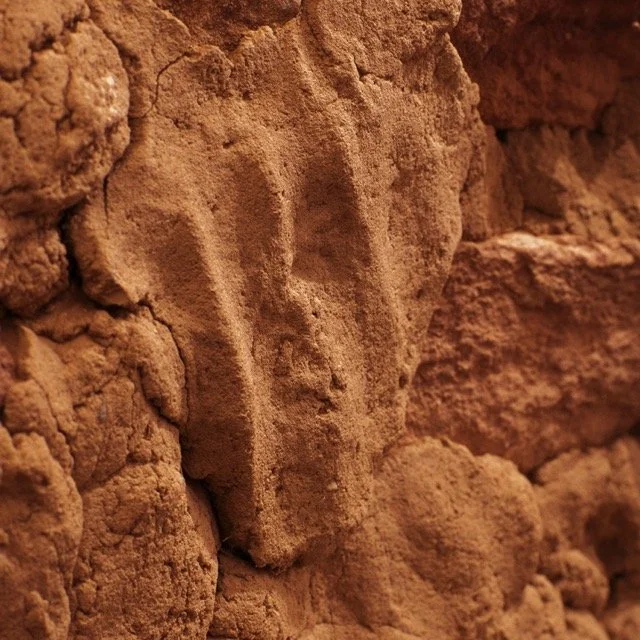 ASW-BEARS EARS-_1.1.133 Medium.jpeg