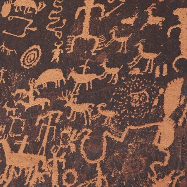 ASW-BEARS EARS-_1.1.153 Medium.jpeg