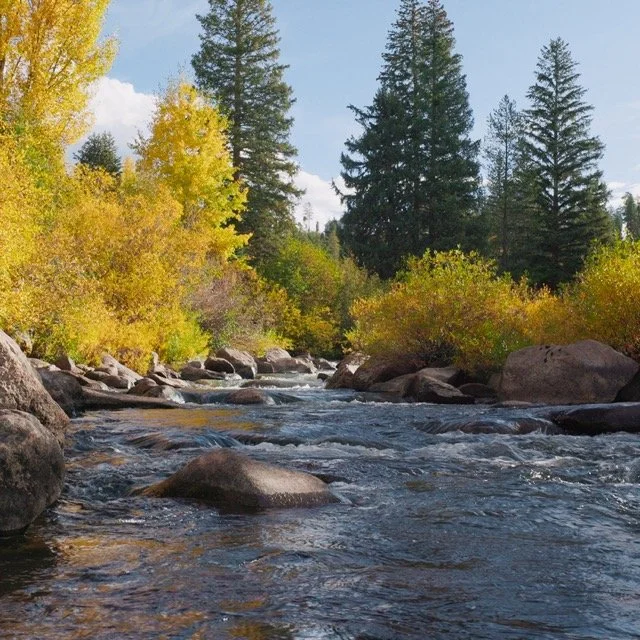 ASW-HEADWATERS_1.1.3 Medium.jpeg