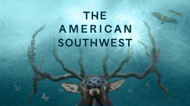 The American Southwest Thumbnail Medium.jpeg