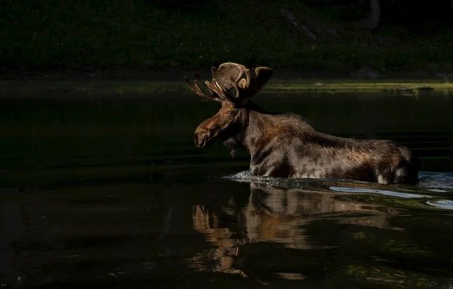 _RON2834-Edit Medium.jpeg